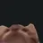 Tastysmol
