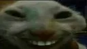 xdd xdd