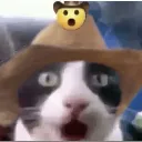 cowboywhaaa