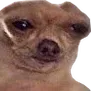 SadDog SadDog