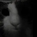 evil_sog