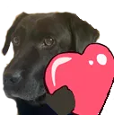 DanecekLove