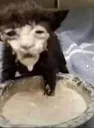 mud