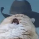 catcowboi_hq catcowboi_hq