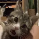 surprised
