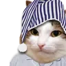 catsleepy