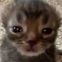me