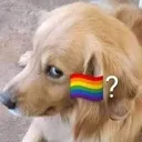 gay