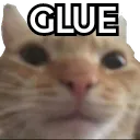 glue