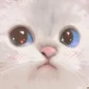 Kitten kitten Discord Emoji