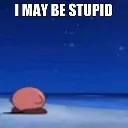 stupid