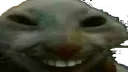xdd