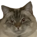 PussPuss Discord emoji
