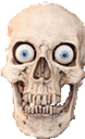 skullK