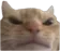 AngryCat