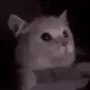 kit_flashbang kit_flashbang