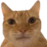 kit_4weird