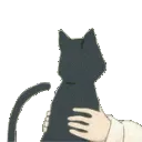CatRubbing_Cat_TikTokVideoServer