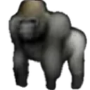 Gorilla_TikTokVideoServer