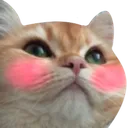 joblush