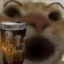 catdrink
