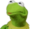 kermit_wut_Lpb