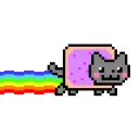 nyancat