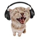 silly_music_cat Discord emoji