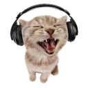 silly_music_cat Discord Emoji