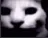 __