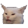 Cat Confused catconfused Discord Emoji