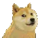 DogeDance