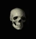 spinningskull