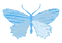 butterflyblue