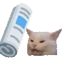 bonkCat