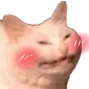 catblushy
