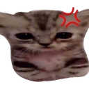 angry_silly_cat Discord emoji