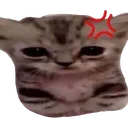 angry_silly_cat Discord Emoji