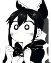 shaulaok