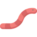 worm