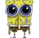 sadsponge