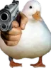 gunduck