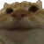 catyes