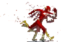 Flash_run