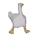 goosedance