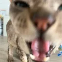 attack