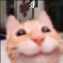 smileycat