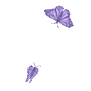 butterflygif
