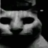 uncannycat