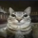 1989